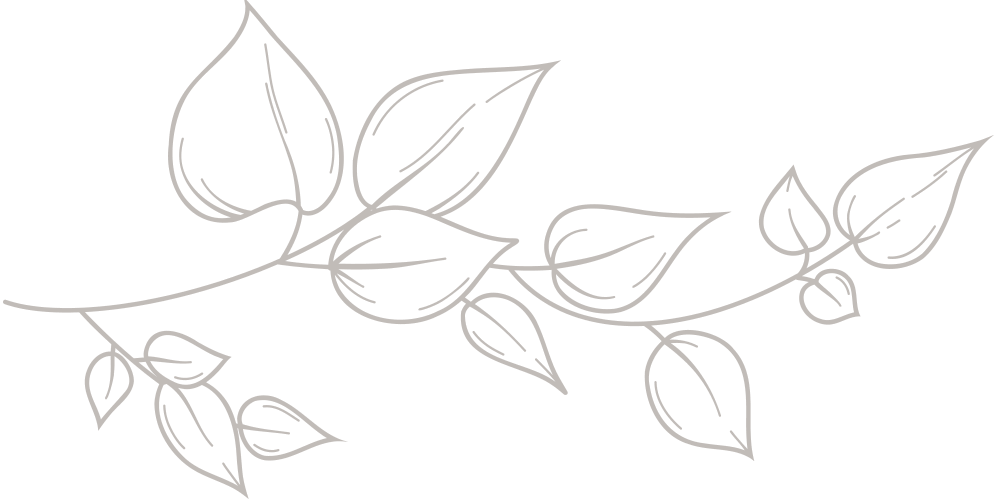 illustration-leaves-on-a-stem