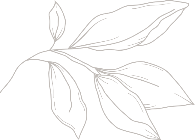 illustration-simple-leaves