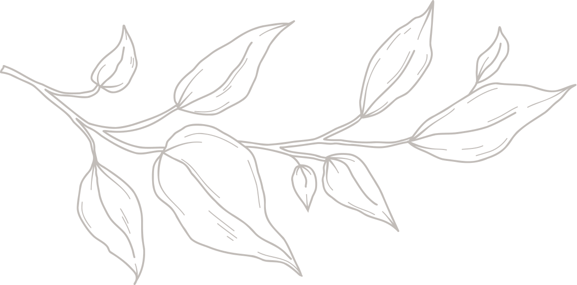A simple, monochrome line drawing of a leafy branch with multiple leaves and smaller stems extending outward.