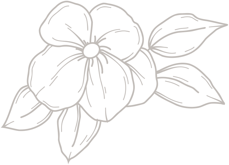 illustration-flower-6-with-leaves Outline drawing of a flower with five petals and four leaves, depicted in simple, thin lines on a light background.