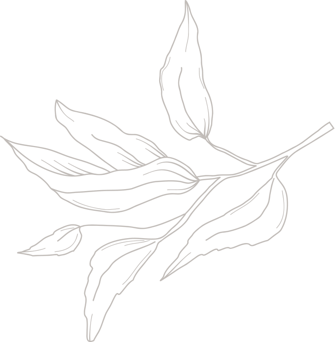 Line drawing of a plant branch with several elongated leaves and one small bud on a plain background, evoking the elegance and simplicity perfect for a refined wedding experience.