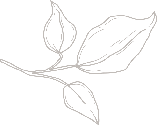 A simple line drawing of a plant stem with three leaves against a light background, evoking the calm and peaceful feeling of staying at the Lake House Inn.