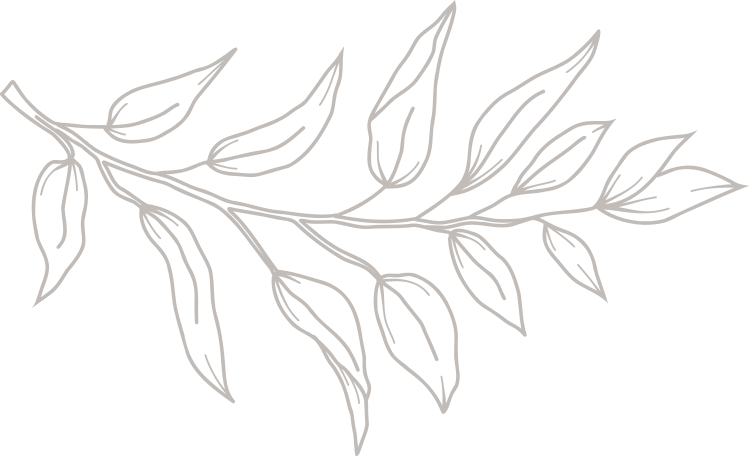 A simple, monochromatic line drawing of a leafy branch with multiple elongated leaves on a light background, capturing the elegance perfect for elevating your Wedding Experience.