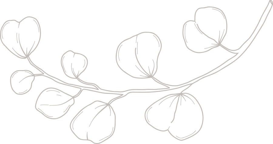 Simple line drawing of a plant stem with several rounded leaves on thin branches, set against a plain background—perfect for capturing the elegance of your Wedding Experience.