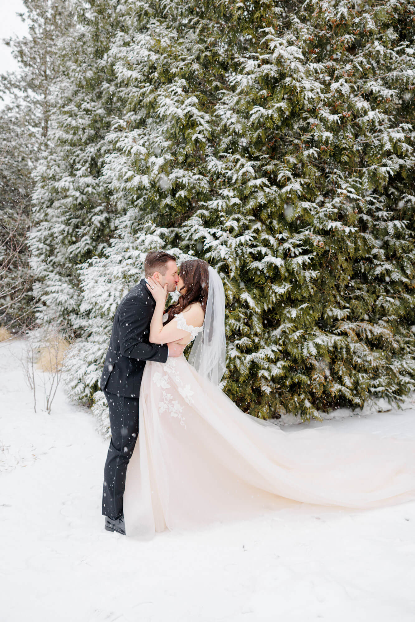 A bride and groom kiss outside in the snow, surrounded by snow-covered trees. The bride wears a white gown and veil; the groom is in a black suit.