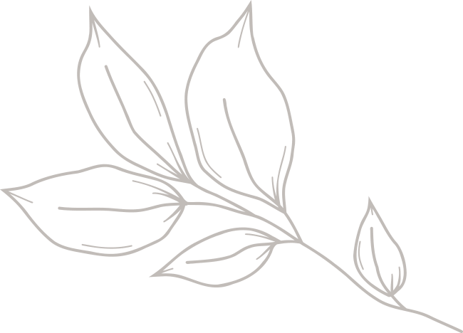 illustration-simple-5-leaves